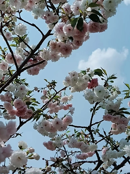 你见过最温暖的句子，句句暖人心 